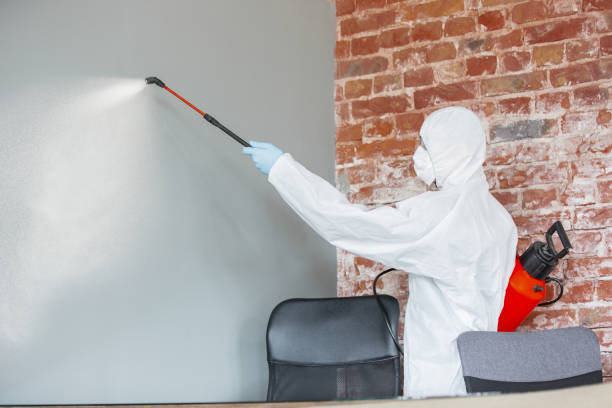 Best Commercial Mold Inspection  in East Cleveland, OH