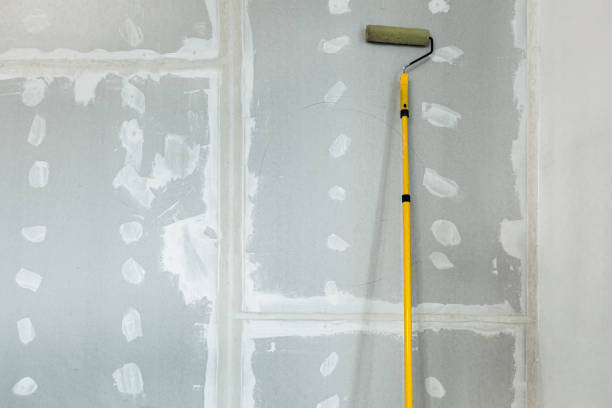 Best Forensic Mold Investigation  in East Cleveland, OH